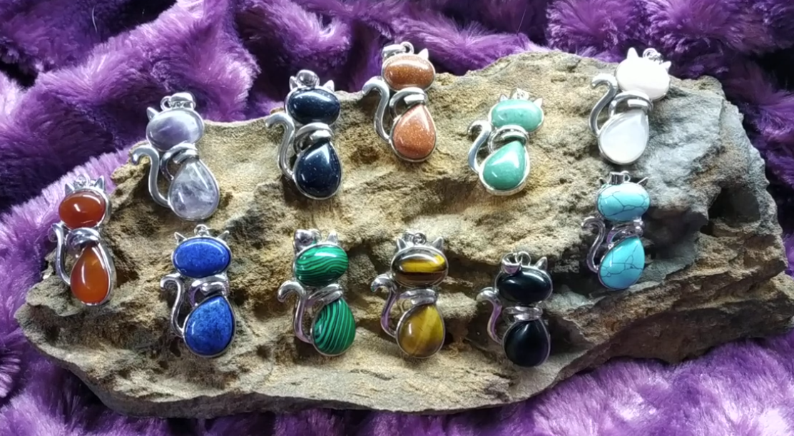 Gato Protección Animales Rioja